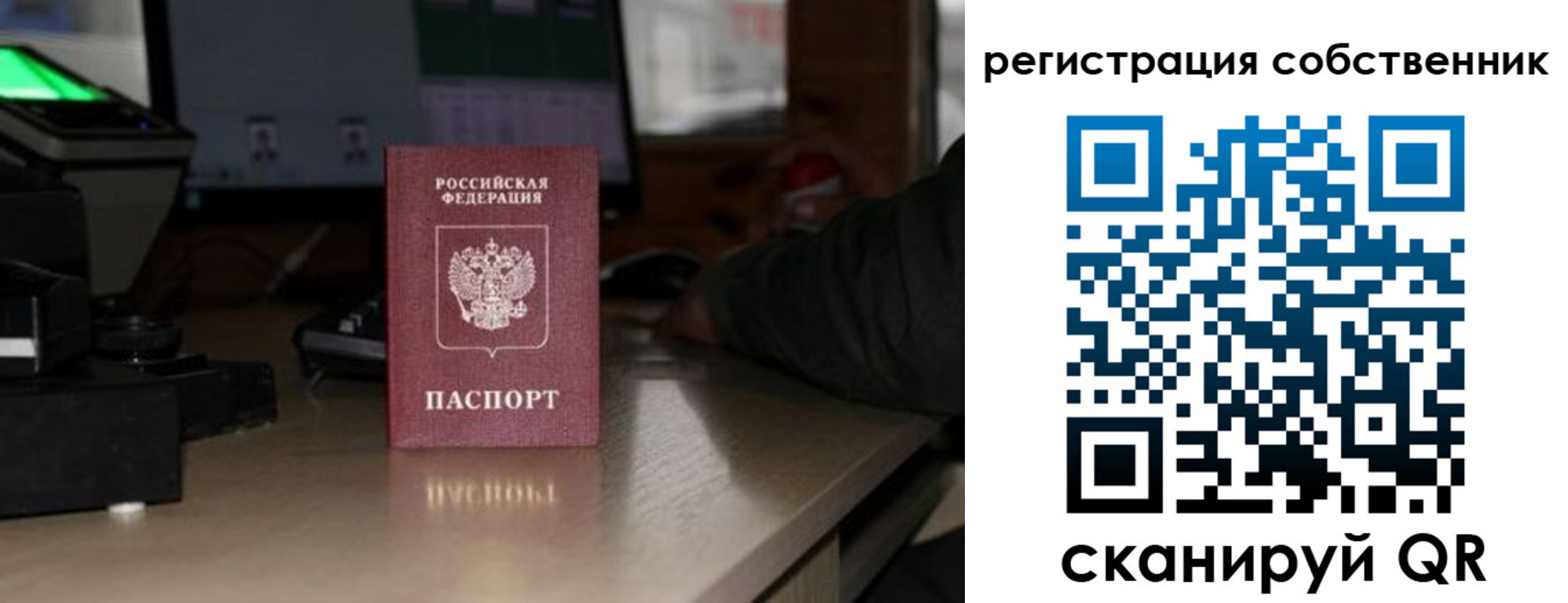 прописка поиск в Краснознаменске